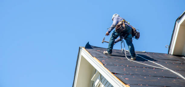 Best Roof Repair Services  in Rutherford, NJ